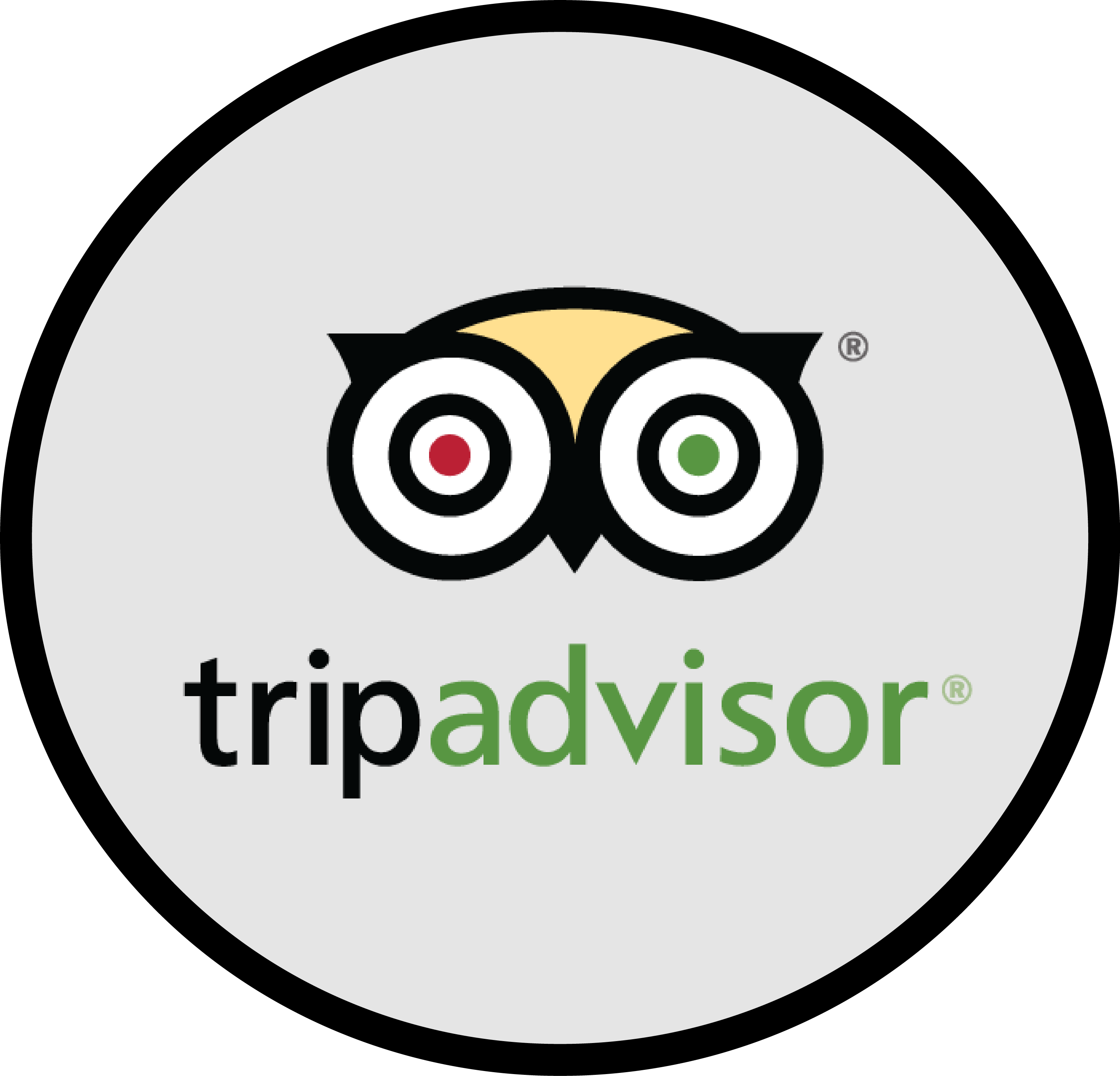 tripadvisor